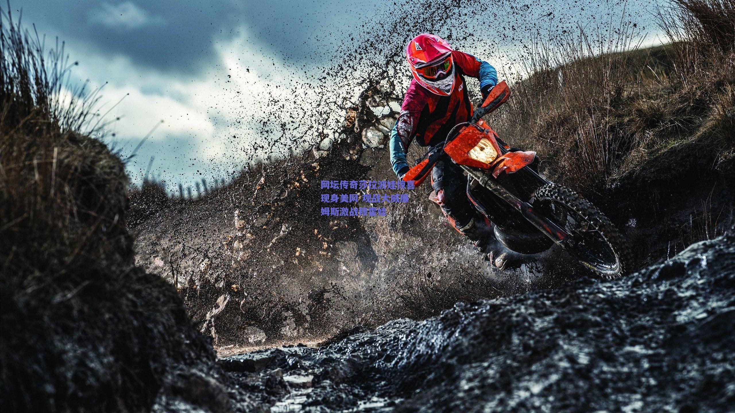 网坛传奇莎拉波娃惊喜现身美网 观战大威廉姆斯激战穆霍娃